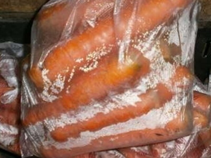 Как заморозить морковь - рецепт с пошаговыми фото | Меню недели